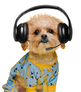 Puppy palace near me discount